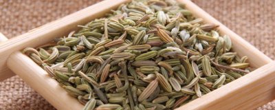 ​小茴香当调料怎么用 小茴香作为调料的用法