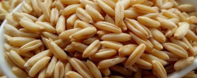 ​燕麦米用泡一晚上吗能吃吗 燕麦米用泡一晚上吗还能吃吗