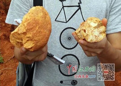 ​50万年前古人类已在江西猎杀巨兽
