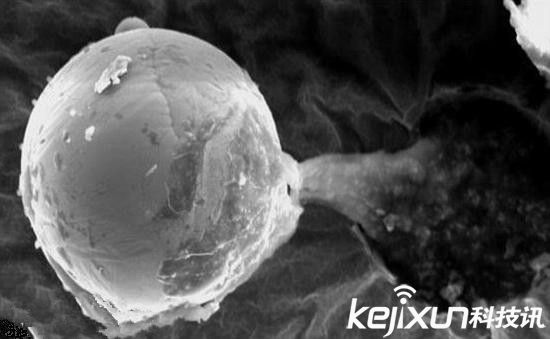 英科学家发现外星生命存在的最新证据！