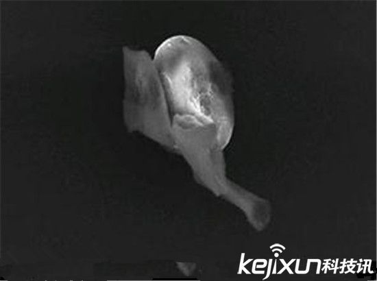 英科学家发现外星生命存在的最新证据！