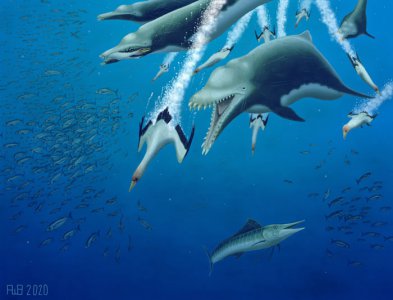 ​美国南卡罗莱纳州发现2300万年前灭绝的渐新世掠食性海豚Ankylorhiza tiedema