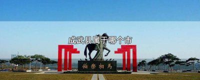 ​成武县在哪个省哪个市 成武县属于哪个省份