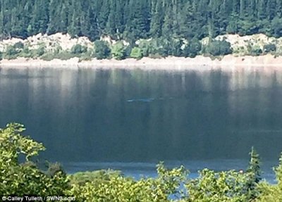 ​尼斯湖水怪再度现身？游客在湖边享用午餐时发现水面出现神秘涟漪