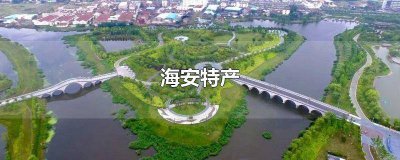 ​海安特产美食有哪些 海安特产河豚