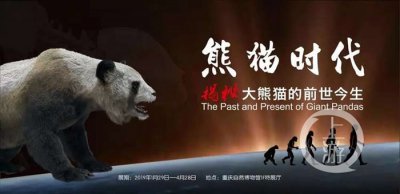 ​重庆自然博物馆“熊猫时代——揭秘大熊猫的前世今生”特展