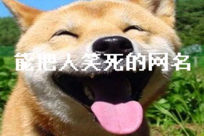 ​独一无二超火的微信昵称终身不舍得换的网名