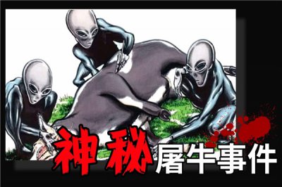​屠牛事件：母牛突然死在遥远山谷（被认为外星人所杀）