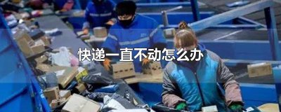 ​顺丰快递一直不动怎么办 圆通快递一直不动怎么办