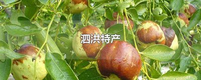 ​泗洪水果批发车厘子什么价 泗洪水果批发招人吗