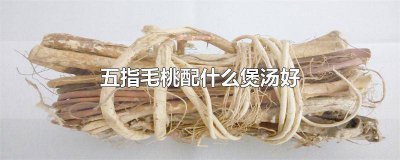 ​五指毛桃配什么煲汤好喝 咳嗽五指毛桃配什么煲汤好