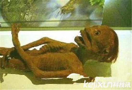 多地水库抓到水鬼 真面目太吓人了！