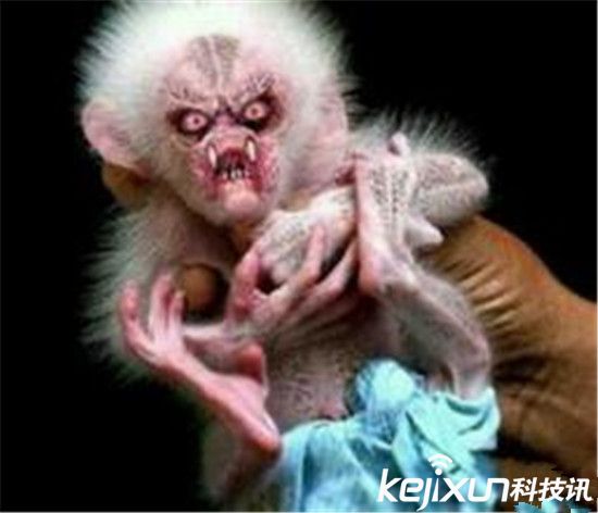 多地水库抓到水鬼 真面目太吓人了！