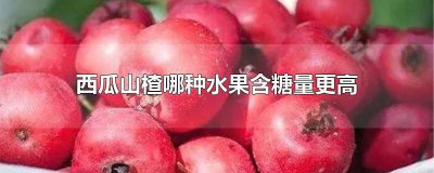 ​山楂和西瓜哪种水果含糖量高 西瓜和山楂哪种水果含糖最高