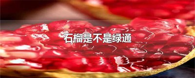 ​石榴是不是绿通