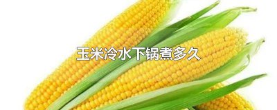 ​水果玉米冷水下锅煮多久 玉米冷水下锅煮多久?