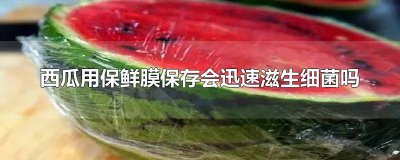 ​保鲜膜 西瓜 细菌 西瓜盖保鲜膜细菌增长更快