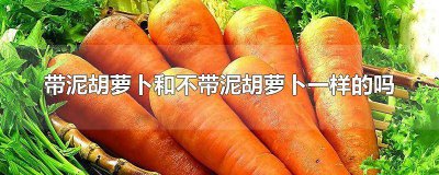 ​带泥胡萝卜和不带泥胡萝卜一样的吗