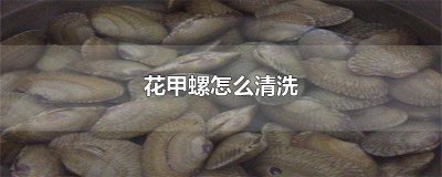 ​花甲螺有内脏清理吗 怎样清洗花螺