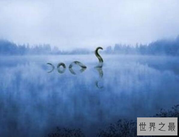 世界十大惊爆眼球的水怪图片，巨型食人鱼一口吃掉你