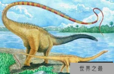 ​世界上最长的恐龙，地震龙体长可达67米