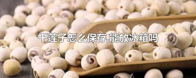 ​莲子可以放冰箱保鲜吗冬天能吃吗 新鲜莲子放冰箱保鲜可以放多久