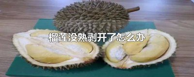 ​榴莲没熟剥开了怎么办还可以退吗 榴莲没熟剥开了怎么办可以放米缸