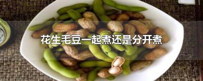 ​毛豆和花生豆可以一起煮吗 毛豆能和花生一块煮吗