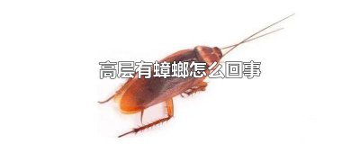 ​高层为什么有蟑螂 高层为什么还有蟑螂
