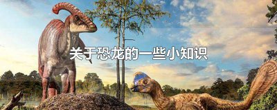 ​关于恐龙的一些小知识 关于恐龙的一些小知识有哪些