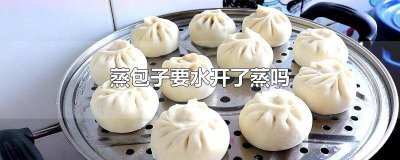 ​蒸包子是先把水烧开吗 蒸包子的水要先烧开吗