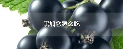 ​黑加仑怎么吃好吃 黑加仑怎么吃不酸