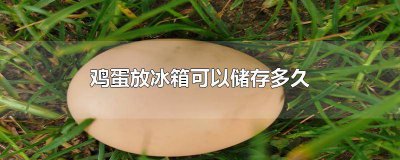 ​鸡蛋放冰箱生霉了 鸡蛋放冰箱里发霉