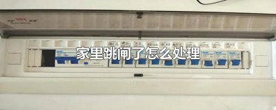 ​家里跳闸了应该怎么办视频 家里跳闸咋么办