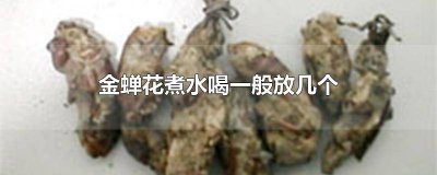 ​金蝉花煮水喝一般放几个 金蝉花熬水喝一般放几个