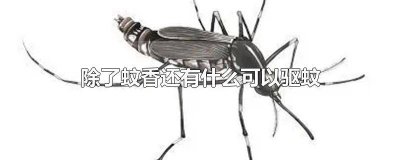 ​除了蚊香还有什么可以驱蚊 除了蚊香还有什么可以驱蚊虫