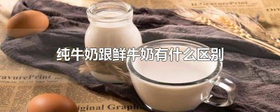 ​纯牛奶和鲜牛奶的区别? 鲜牛奶和纯牛奶的区别?
