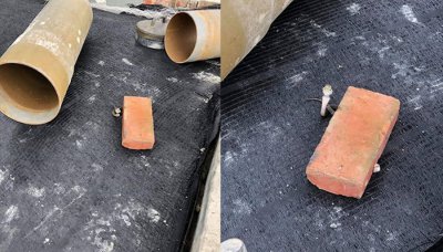 ​砖头旁边一条小眼镜蛇杀气腾腾呈现攻击状态