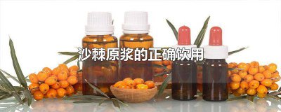 ​沙棘原浆什么时候喝最好 沙棘原浆一天喝多少好