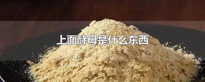 ​什么东西里有酵母 酵母到底是什么东西