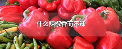 ​什么辣椒香而不辣好吃 什么辣椒香而不辣又香