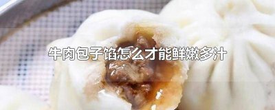 ​牛肉包子馅怎么才能鲜嫩多汁好吃呢 牛肉包子馅怎么才能鲜嫩多汁好吃视频