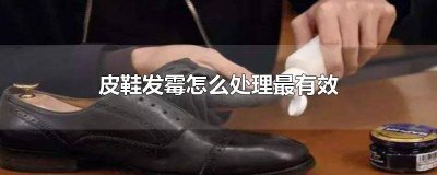 ​皮鞋发霉怎么处理最有效的方法 皮鞋发霉怎么处理最有效视频