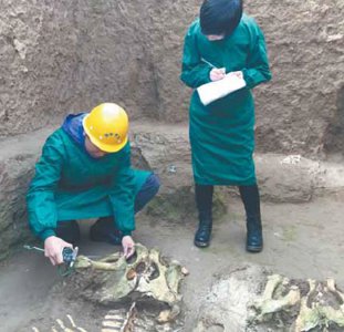 ​多学科融合模式推进了中国动物考古学又快又好地向前发展