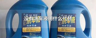 ​洗车液没有了用什么可以代替 洗车液没有了可以用什么代替