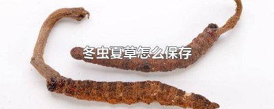 ​新鲜冬虫夏草怎么保存最佳 冬虫夏草冬天怎么保存