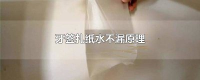 ​牙签扎水袋的原理 牙签扎水杯是什么原理