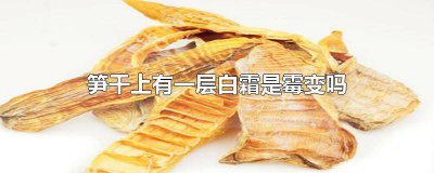 ​笋干上有一层白霜是什么 笋干上有一层白毛是霉变吗