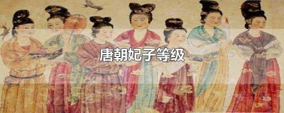 ​唐朝妃子等级封号职位表 唐朝妃子等级封号表