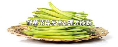​鲜黄花菜怎样处理才能吃不会中毒 新鲜的黄花菜怎么处理